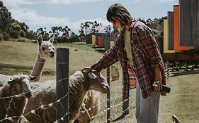 Iron Creek Bay Estate