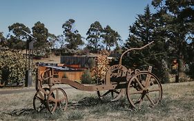 Iron Creek Bay Estate